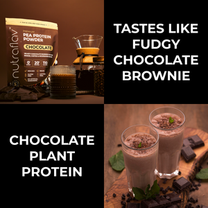 Chocolate Pea Protein Powder